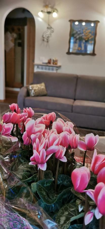 Apartment Borgo Alpino 4 *